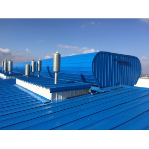 電動(dòng)啟閉式天窗