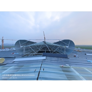 電動(dòng)啟閉式天窗