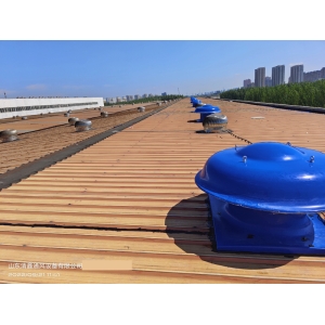 玻璃鋼屋頂軸流風(fēng)機