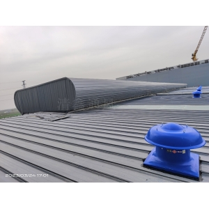 玻璃鋼屋頂軸流風(fēng)機