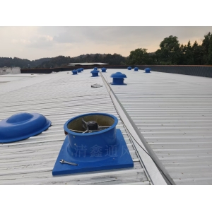 玻璃鋼屋頂軸流風(fēng)機